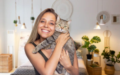 Refuge Perle de Chat – Stérilisation, Identification et Enregistrement