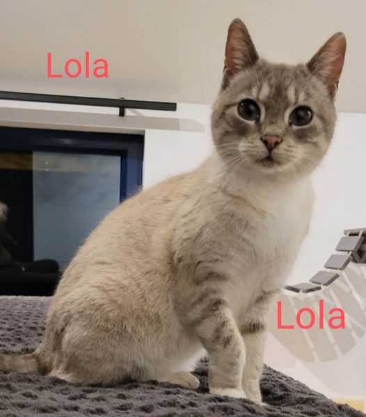 Lola