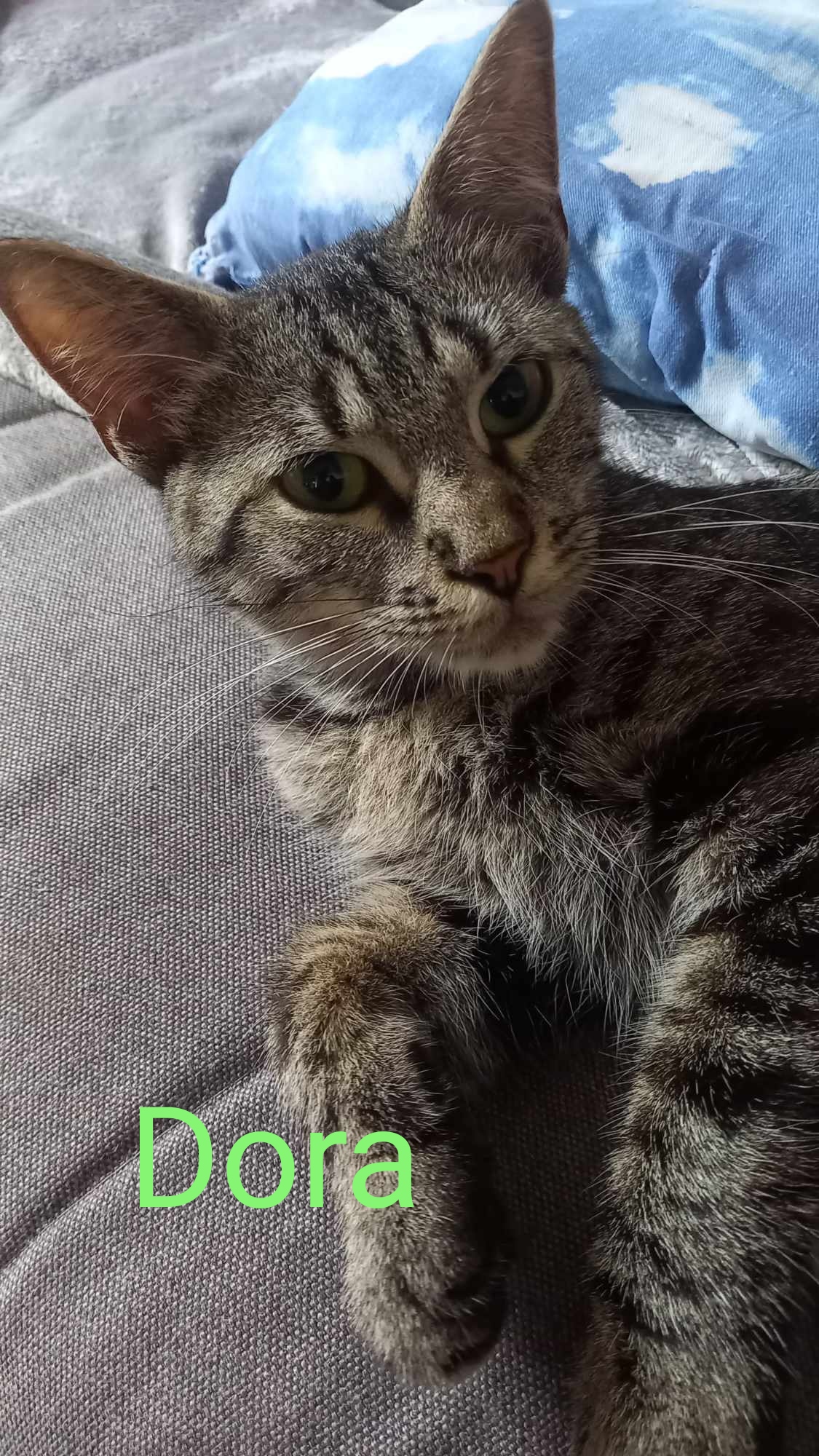 Dora