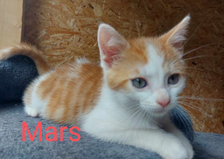 Mars