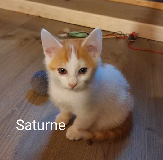 Saturne