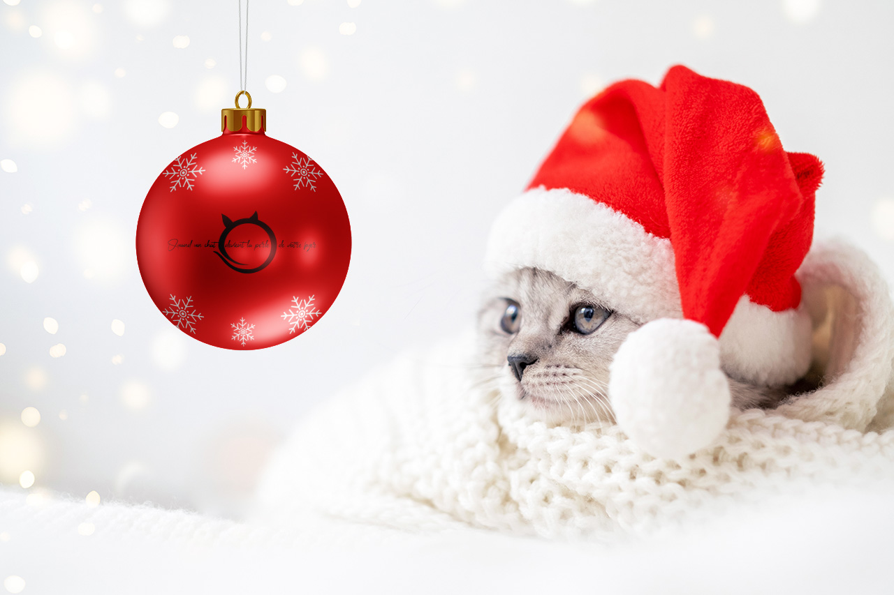 Poils et Plumes de Rochefort, notre refuge participe à l'opération festive "Boules de Noël